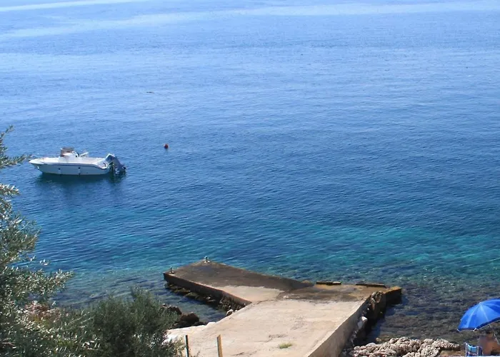 8406a * Ждрелац